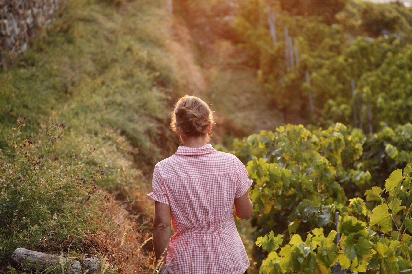 Valais, Suisse: Domaine Chappaz