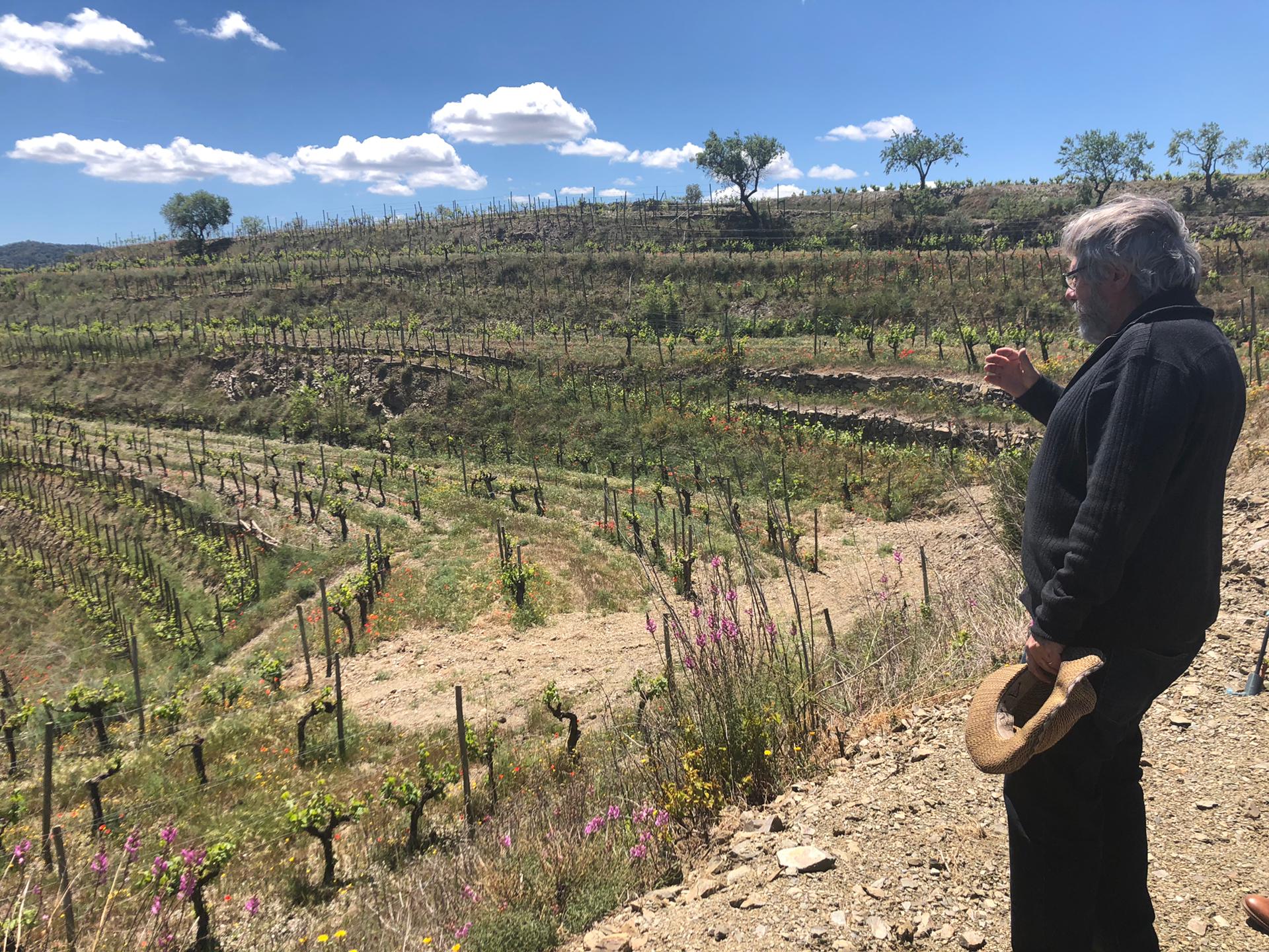 Priorat, Espagne: Clos Mogador